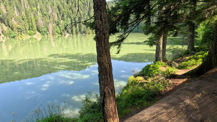 Lac Vert: der Grüne See oder Soultzeren See | © Sunhikes Lac Vert: der Grüne See oder Soultzeren See | © Sunhikes