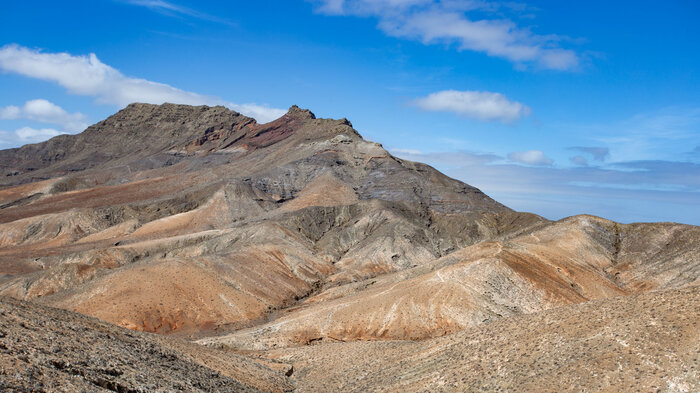 Wandern im Naturdenkmal Cardón auf Fuerteventura | © Sunhikes