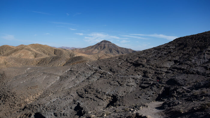 Wanderweg im Naturdenkmal Cardón auf Fuerteventura | © Sunhikes