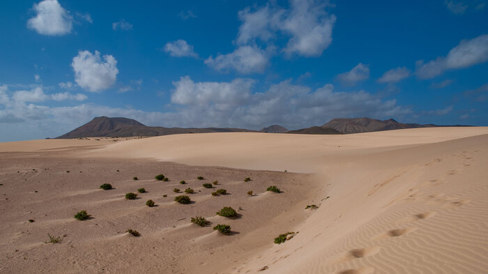 Naturpark Corralejo auf Fuerteventura | © Sunhikes