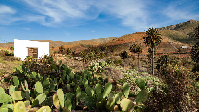 Tal Betancuria Vega de Rio Palmas Fuerteventura | © Sunhikes
