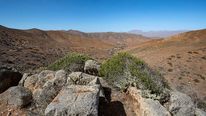 Tal Betancuria Vega de Río Palmas Fuerteventura | © Sunhikes