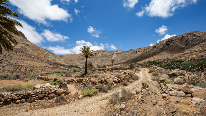Wanderweg Valle de Grandillo Fuerteventura | © Sunhikes