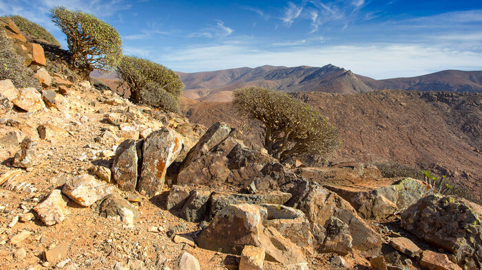 Blick vom Lomo de Tabaibe über den Pico de Aguililla auf den Pico de la Muda | © Sunhikes