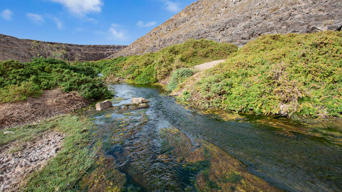 Bachlauf Barranco de los Molinos Fuerteventura | © Sunhikes