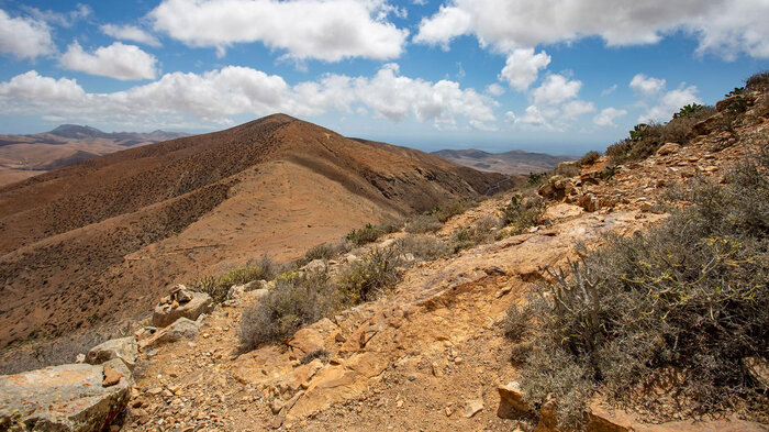 Ausblick Morro de los Olivos Fuerteventura | © Sunhikes