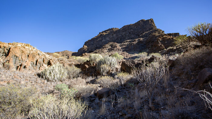 Wanderung zur Passhöhe Aguasabina auf Gran Canaria | © Sunhikes