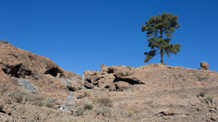 Wandern in der Felslandschaft Majada Alta | © Sunhikes