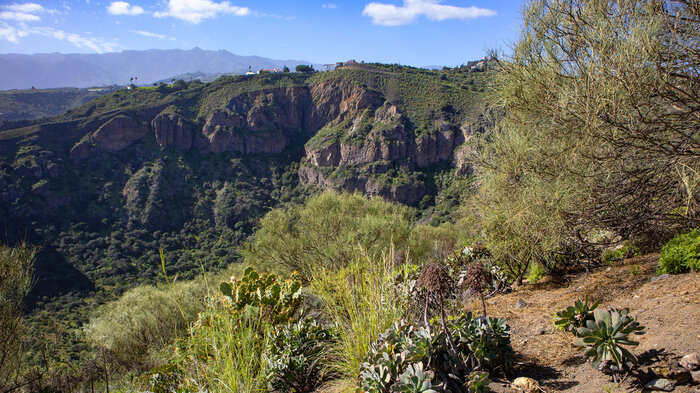 Felsen am Krater der Caldera de Bandama | © Sunhikes