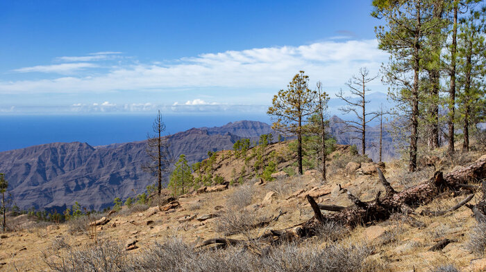 Gipfelplateau des Tauro | © Sunhikes