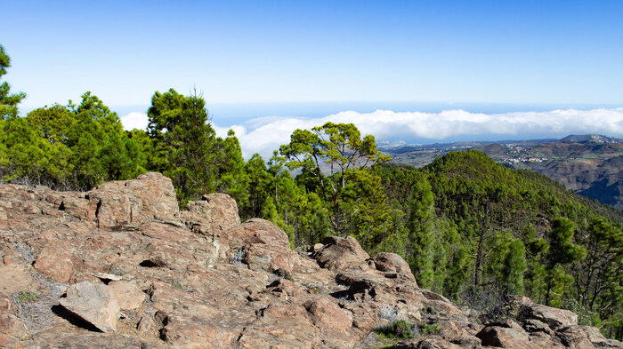 felsiger Bergbereich Montaña Tamadaba | © Sunhikes