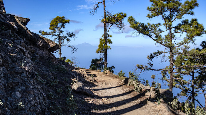 Blick Teneriffa vom Tamadaba Naturpark | © Sunhikes