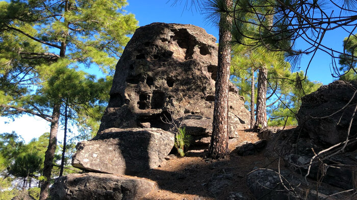 Wanderweg im Naturpark Tamadaba auf Gran Canaria | © Sunhikes