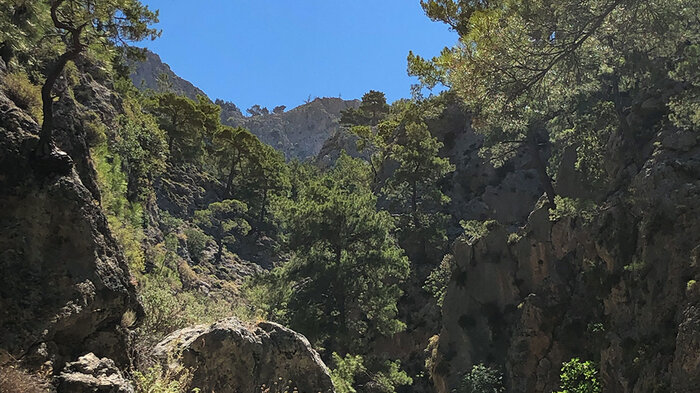 Agia Irini Schlucht auf Kreta | © Sunhikes