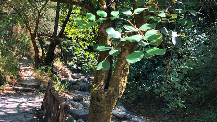 Wanderweg bei Meskla | © Sunhikes