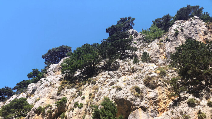 schroffe Felsflanken in den Lefka Ori | © Sunhikes