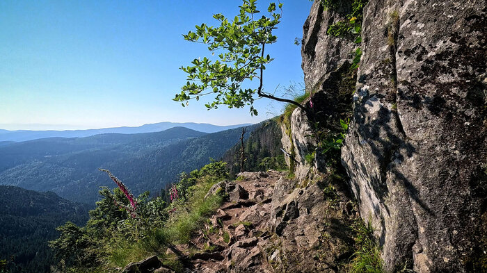 Felsenpassage Sentier des Roches | © Sunhikes