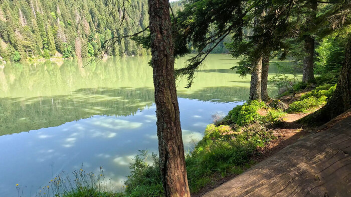 Uferpfad am Lac Vert | © Sunhikes
