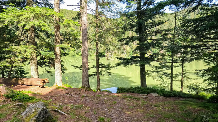 Wanderpfad Lac Vert | © Sunhikes