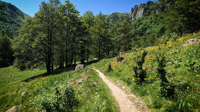 Wiesenlandschaft Frankenthal | © Sunhikes