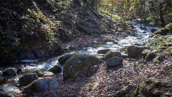 Bachlauf der Thur | © Sunhikes