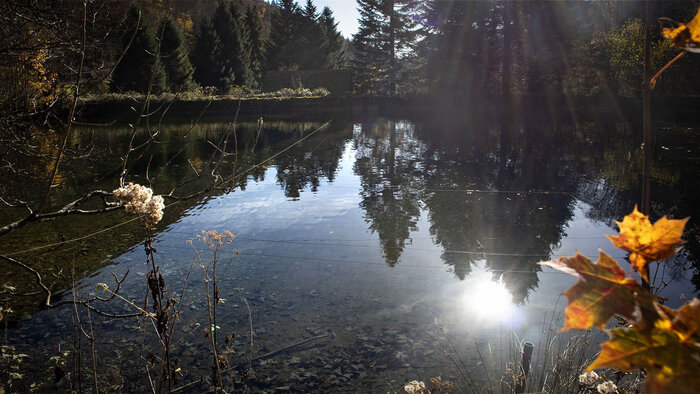 Forellenweiher Heidenbad-Wasserfall | © Sunhikes