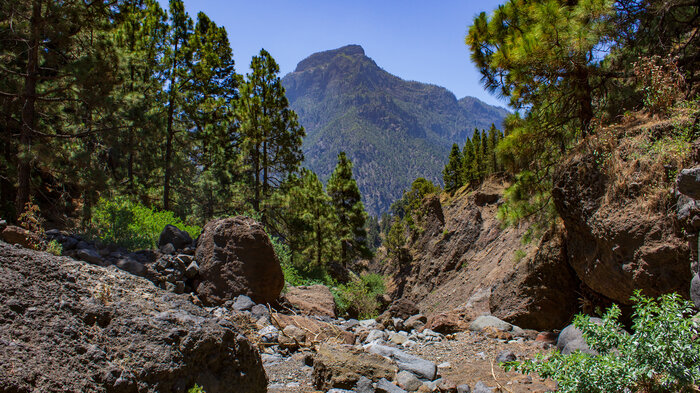 Blick durch die Schlucht Barranco Bombas de Agua mit dem Pico Bejenado im Hintergrund | © Sunhikes die Schlucht Barranco Bombas de Agua mit dem Pico Bejenado im Hintergrund | © Sunhikes
