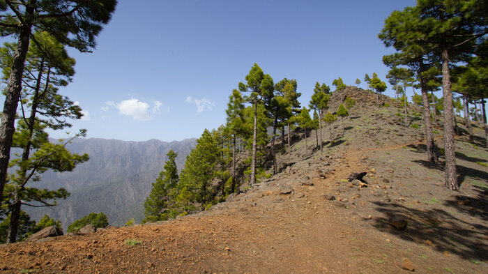 der Wanderweg verläuft entlang des Höhenkamms am Pico Bejenado | © Sunhikes Wanderweg verläuft entlang des Höhenkamms am Pico Bejenado | © Sunhikes