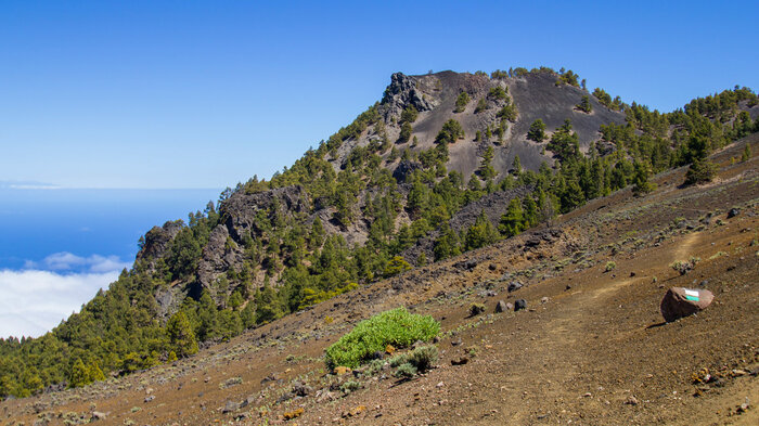 Wanderweg führt durch Lavagrus mit Blick auf den Pico Nambroque | © Sunhikes Wanderweg durch Lavagrus mit Blick auf den Pico Nambroque | © Sunhikes
