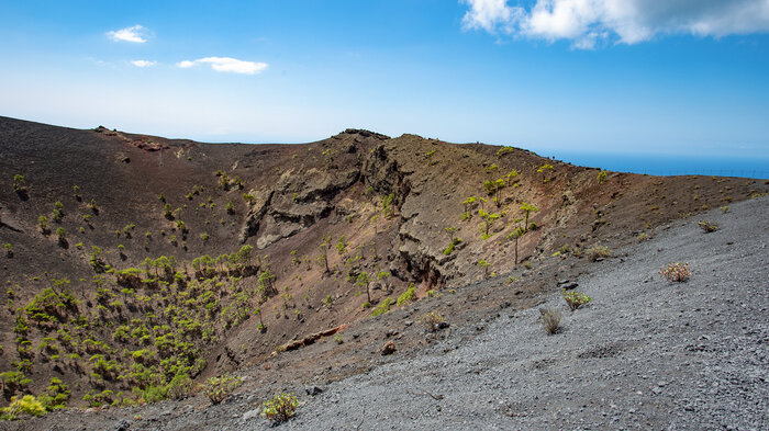 Kiefern breiten sich im Krater des Vulkans San Antonio aus | © Sunhikes Kiefernwäldchen im Krater des Vulkans San Antonio | © Sunhikes