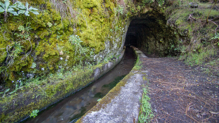 Wanderung durch Tunnel im Naturpark Las Nieves