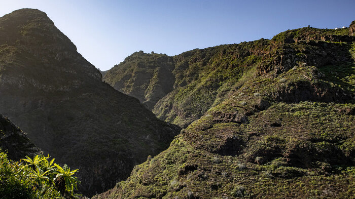 Ausblick auf die tiefe Schlucht des Barranco de los Hombres | © Sunhikes Ausblick auf die Schlucht Barranco de los Hombres | © Sunhikes