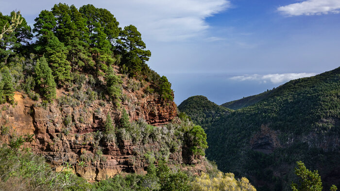 Ausblick über raue Felswände auf das Barranco de los Hombres | © Sunhikes Blick über raue Felswände auf das Barranco de los Hombres | © Sunhikes