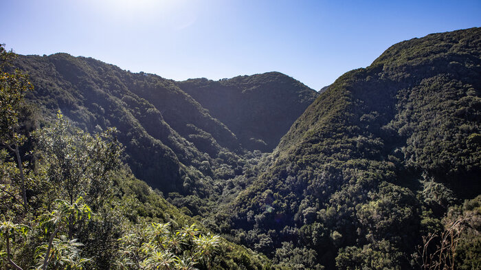 vom Wanderweg nach Don Pedro blickt man über die Magdalena-Schlucht  | © Sunhikes Blick über die Magdalena-Schlucht  | © Sunhikes