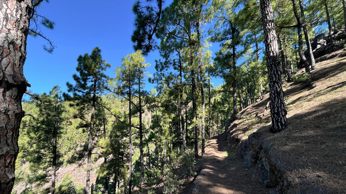 herrliche Wanderwege an den mittleren Höhenlagen der Insel | © Sunhikes Wanderwege an den mittleren Höhenlagen der Insel | © Sunhikes