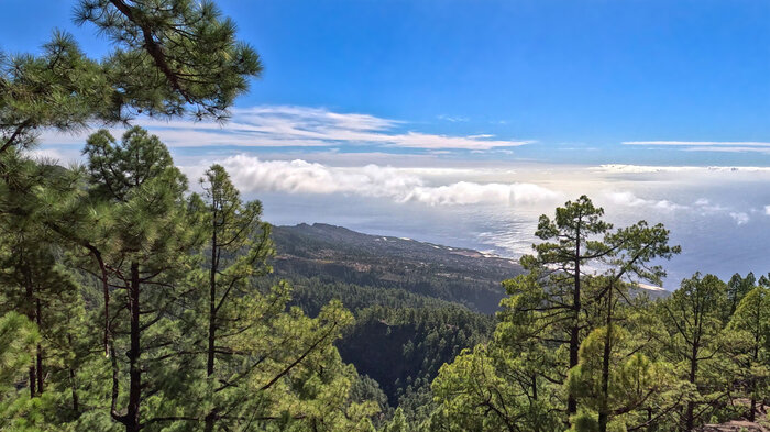 Ausblick von den Kiefernwäldern auf die Westküste La Palmas | © Sunhikes Blick von den Kiefernwäldern auf die Westküste La Palmas | © Sunhikes