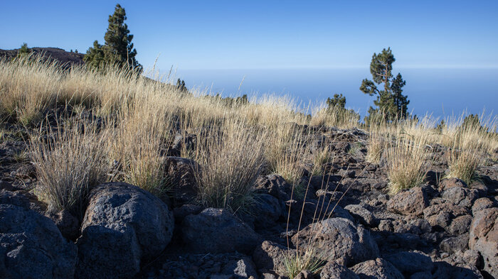 Wandertouren im Westen der Insel La Palma | © Sunhikes