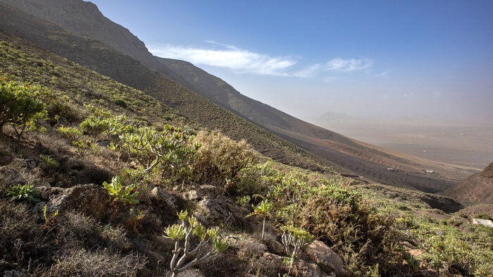 langgezogene Berghänge am Famara-Gebirges | © Sunhikes Berghänge am Famara-Gebirges | © Sunhikes