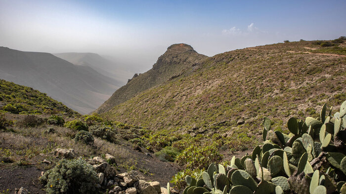 über der Schlucht Barranco de la Poceta erhebt sich der Gipfel des El Castillejo | © Sunhikes der Gipfel des El Castillejo erhebt sich über dem Barranco de la Poceta | © Sunhikes