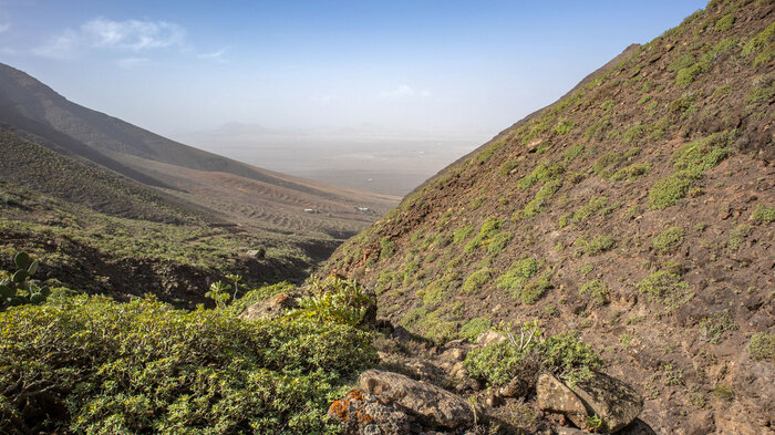 Ausblick über die Poceta-Schlucht im Famara-Gebirge | © Sunhikes Blick über die Poceta-Schlucht im Famara-Gebirge | © Sunhikes