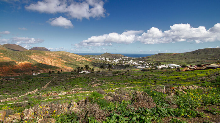 Haría Lanzarote | © Sunhikes