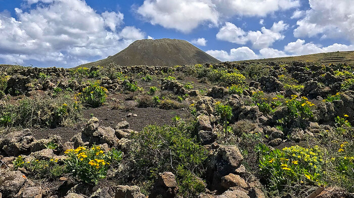 der Vulkan La Corona vom Mirador Las Rositas aus gesehen | © Sunhikes Vulkan La Corona vom Mirador Las Rositas aus gesehen | © Sunhikes
