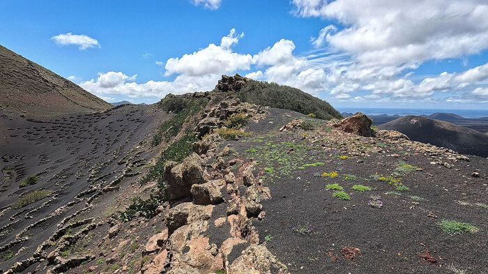 Wanderpfad Montaña Guardilama Lanzarote | © Sunhikes