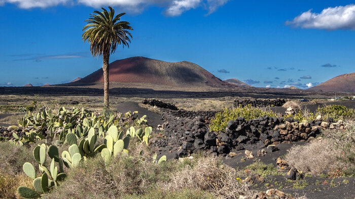 Ausblick über die Vulkanlandschaft bis zum Montaña Colorada | © Sunhikes Blick über die Vulkanlandschaft bis zum Montaña Colorada | © Sunhikes