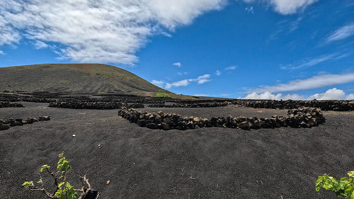 Weinanbau unterhalb des Caldera de Gaida | © Sunhikes Weinanbau unter dem Caldera de Gaida | © Sunhikes