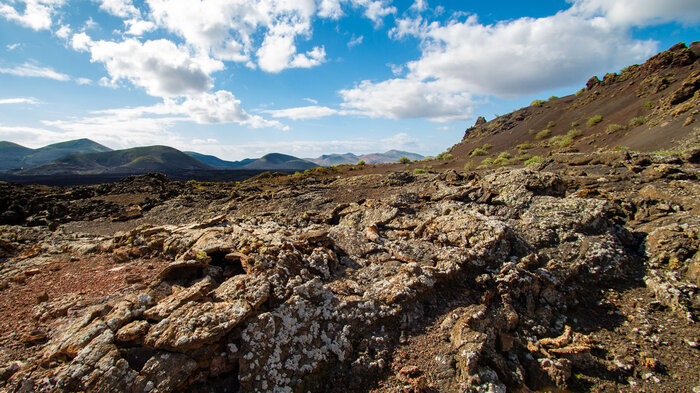 Lavafelder Tinguatón Lanzarote | © Sunhikes