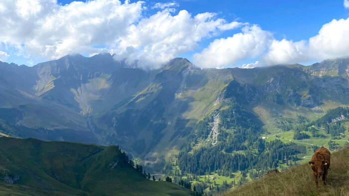 Ausblick Tälihöhe in das Valänatal | © Sunhikes
