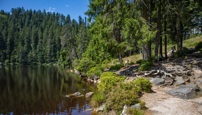 der Glaswaldsee in der Nähe von Bad Rippoldsau-Schapbach | © Sunhikes