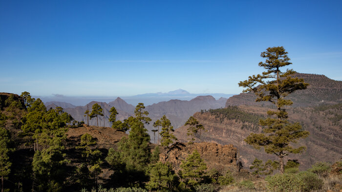 das Monumento Natural de Tauro bietet Panoramablicke bis Teneriffa | © Sunhikes