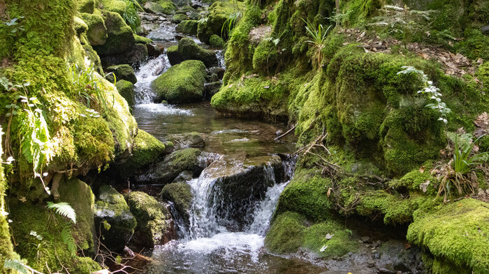 der Gottschlägbach bei den Edelfrauengrab Wasserfällen | © Sunhikes